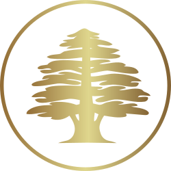 www.valleygardenrooms.co.uk company logo. Western Red Cedar Wood Tree in Gold